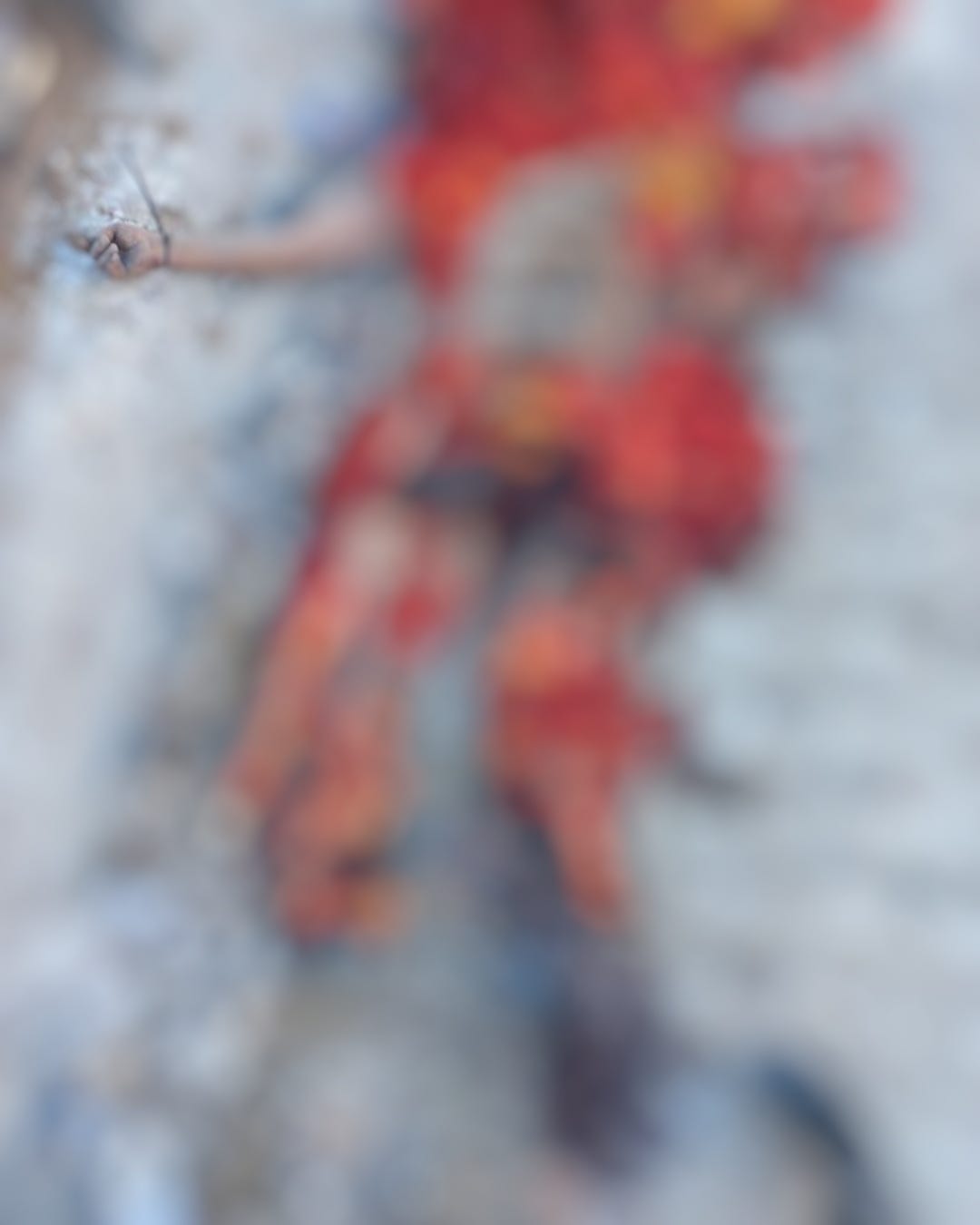 "meat"