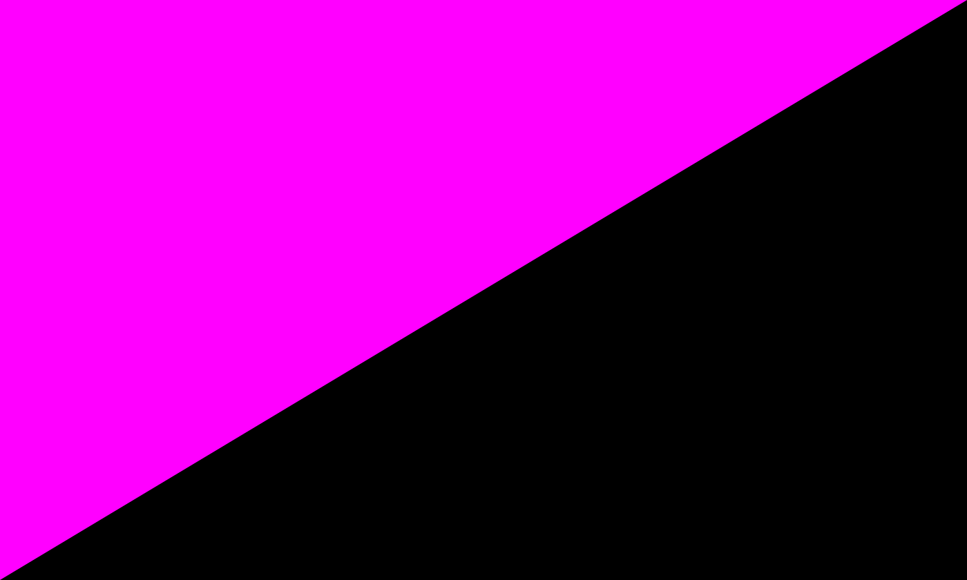 Queer anarchist flag
